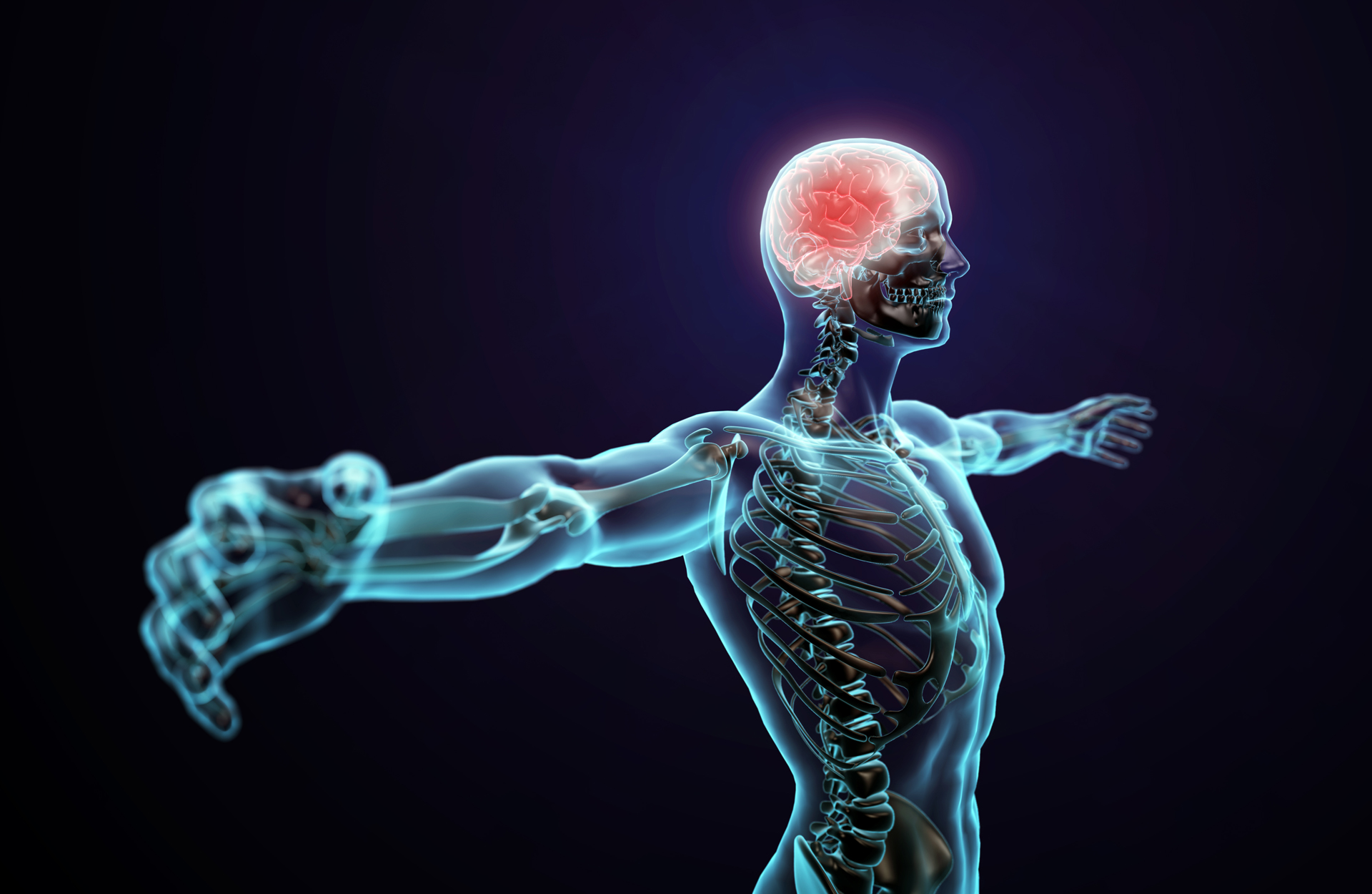 NTN 1224 Human Physiology - 2023