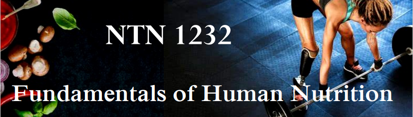 NTN 1232 Fundamentals of Human Nutrition - 2022