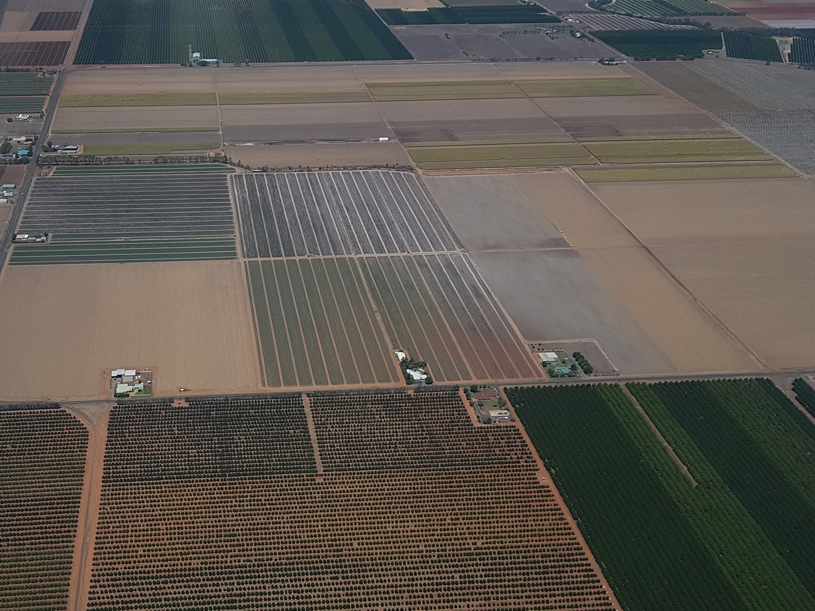 LFN 1244 Crop Science &amp; Agronomy - 2023