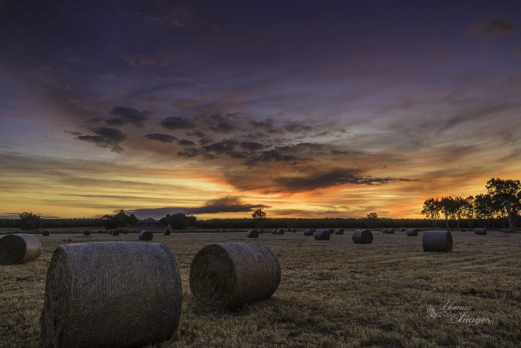 LAS 2231 Practicum II - 2022