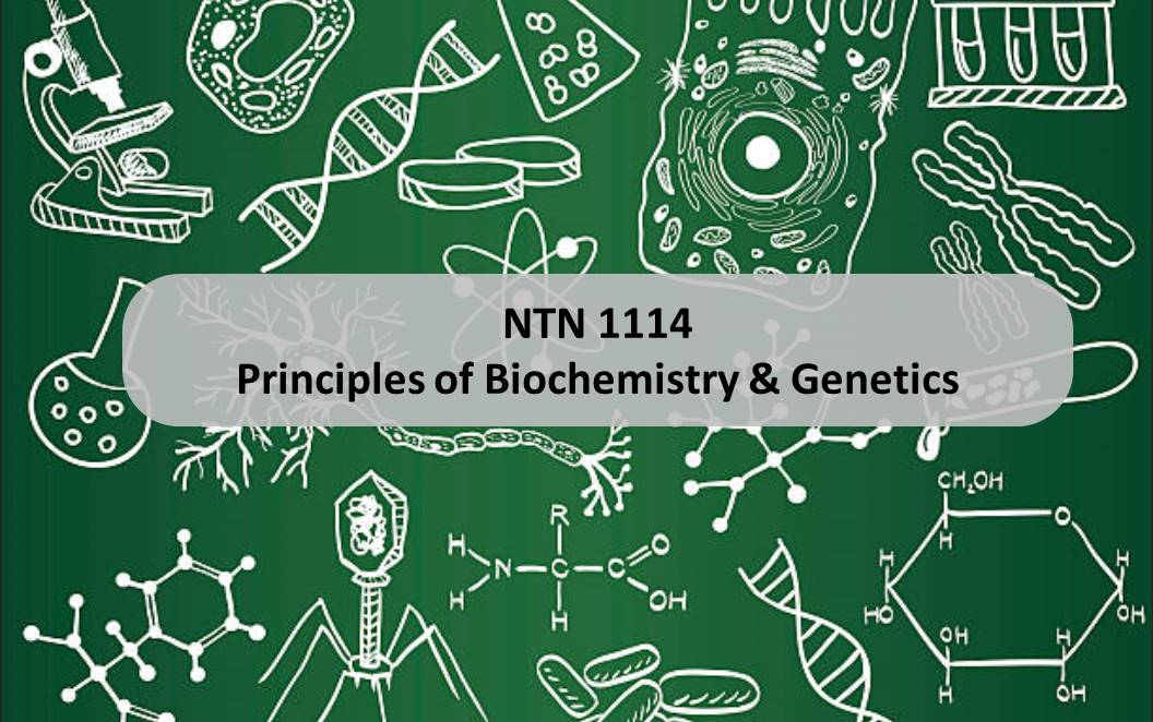 NTN 1114	Principles of Biochemistry &amp; Genetics 2023