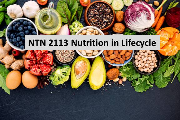 NTN 2113	Nutrition in Lifecycle 