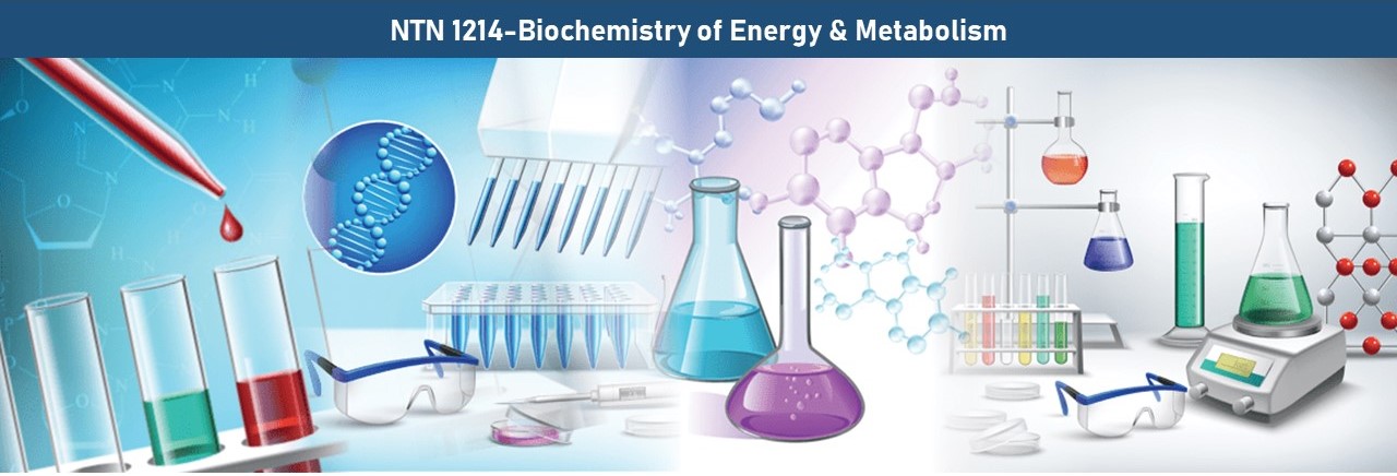NTN 1214 - Biochemistry of energy &amp; Metabolism