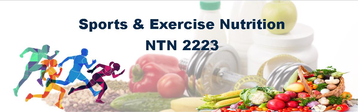 NTN 2223 - Sports &amp; Exercise Nutrition (2024)