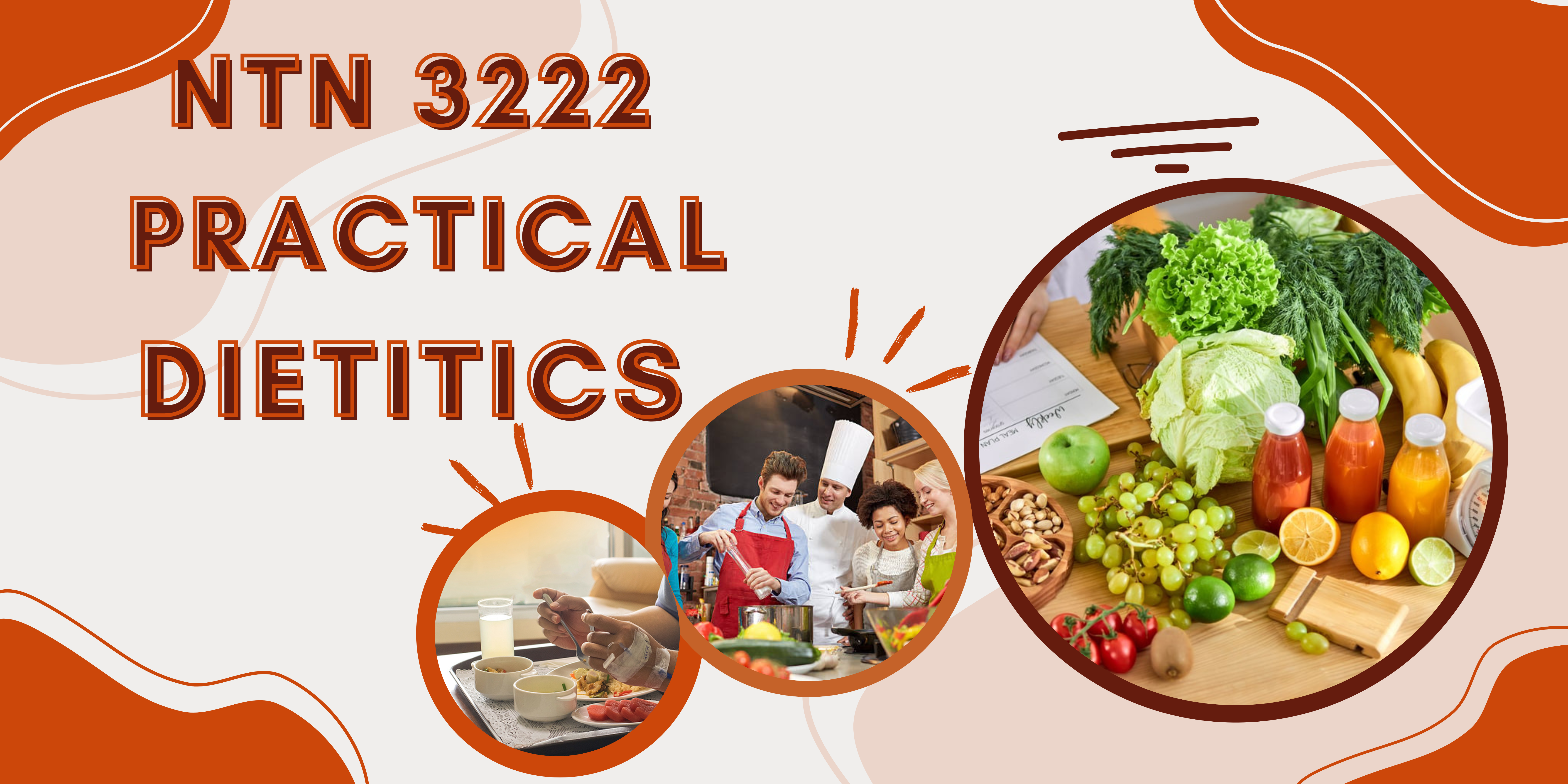 NTN 3222 - Practical Dietetics 