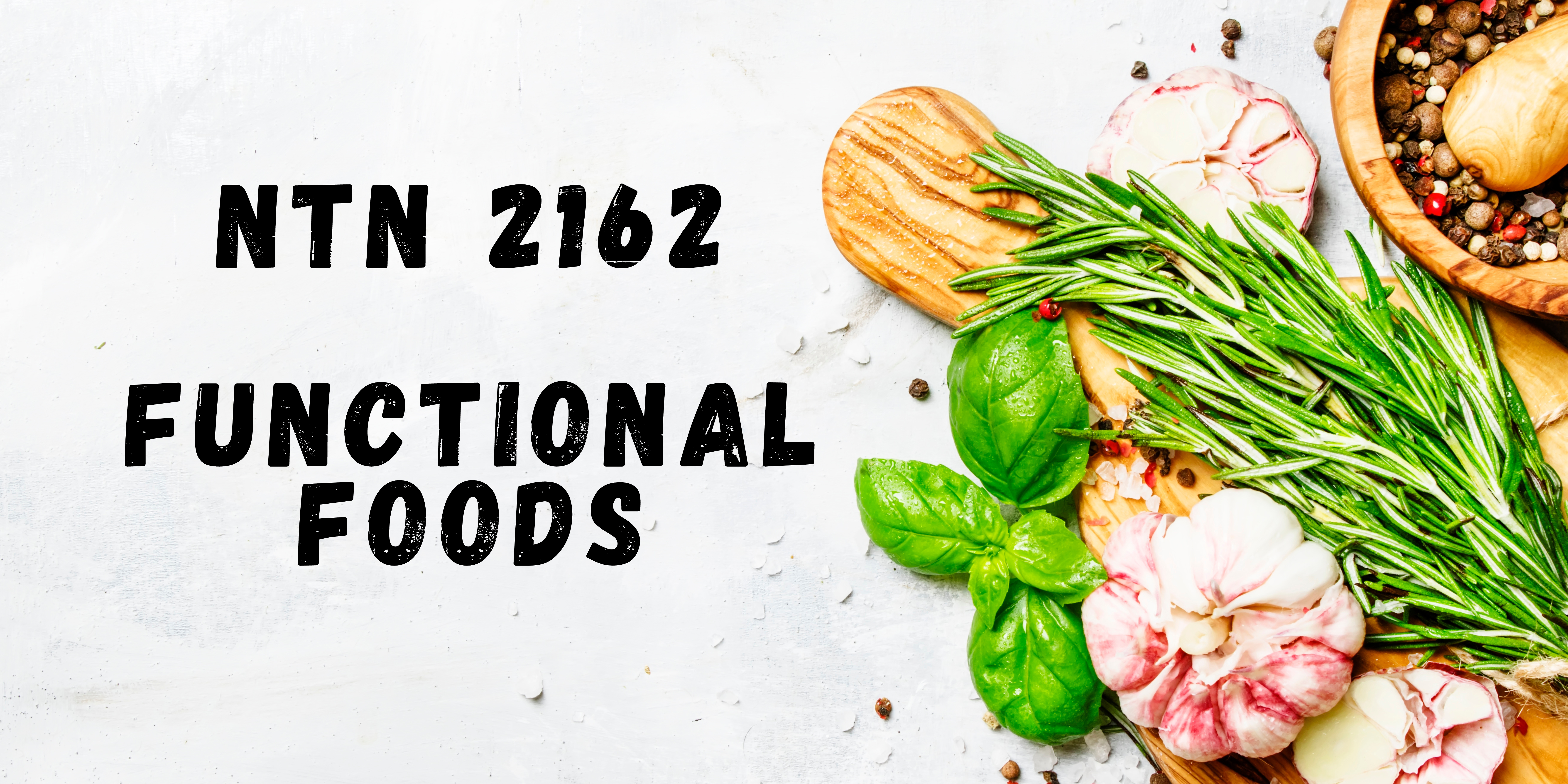 NTN 2162 - Functional Foods