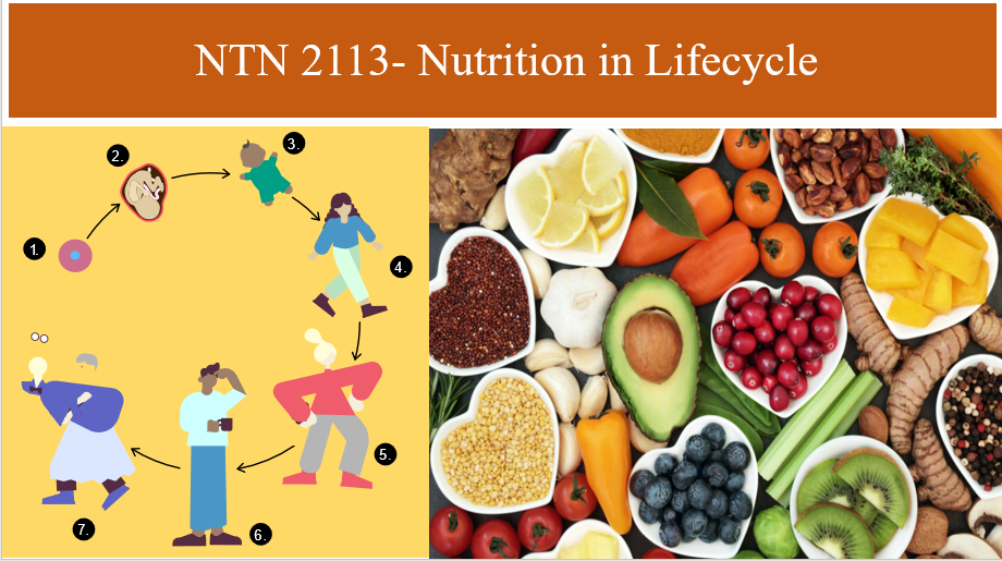  NTN 2113  - Nutrition in lifecycle