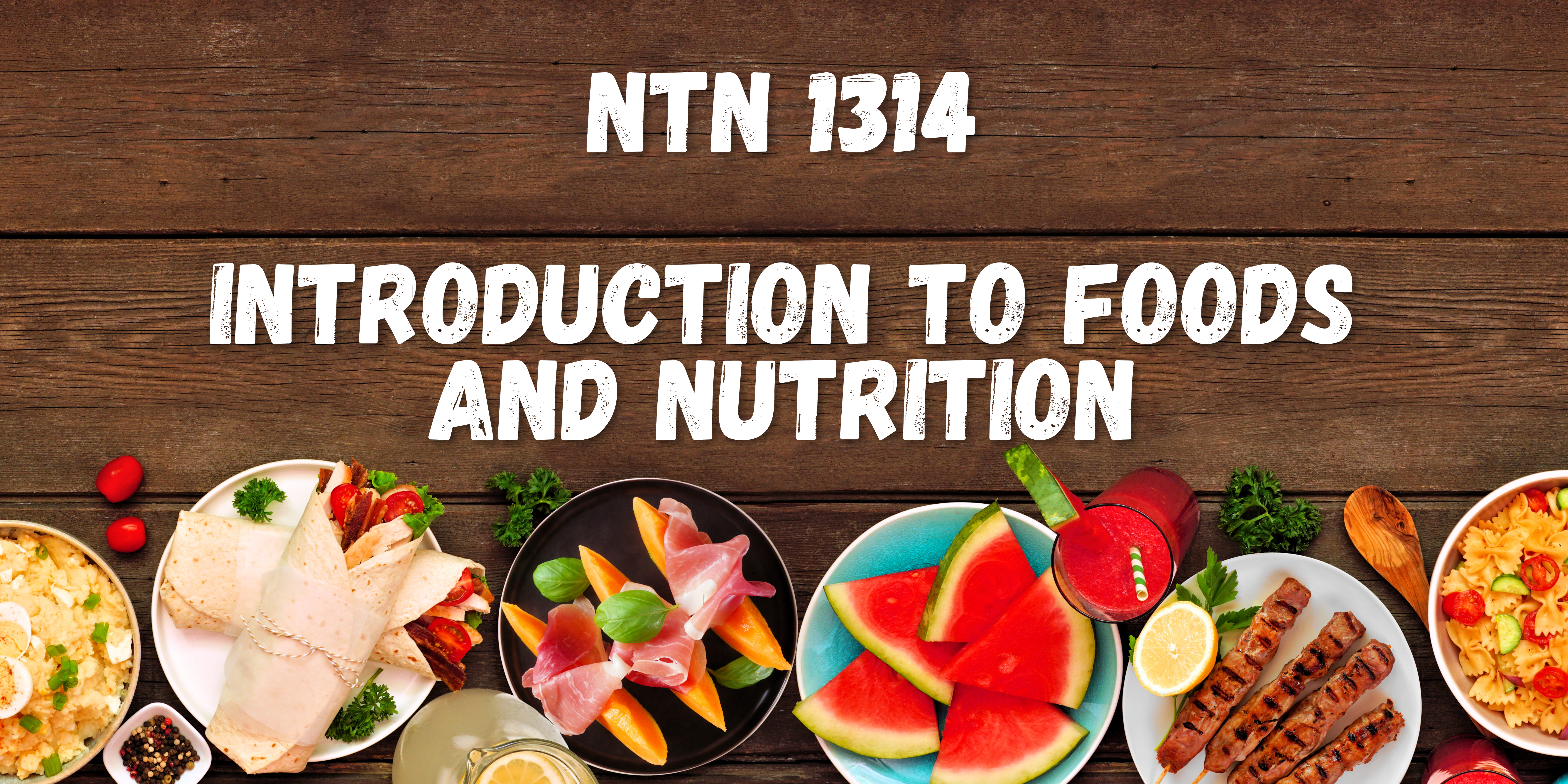 NTN 1314 - Introduction to Foods &amp; Nutrition