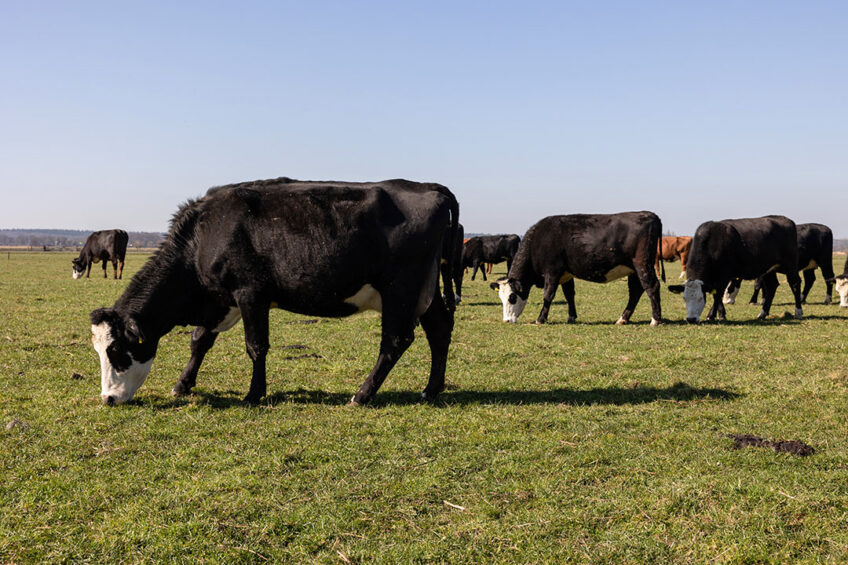 AAH1143 -  Ruminant Production Management