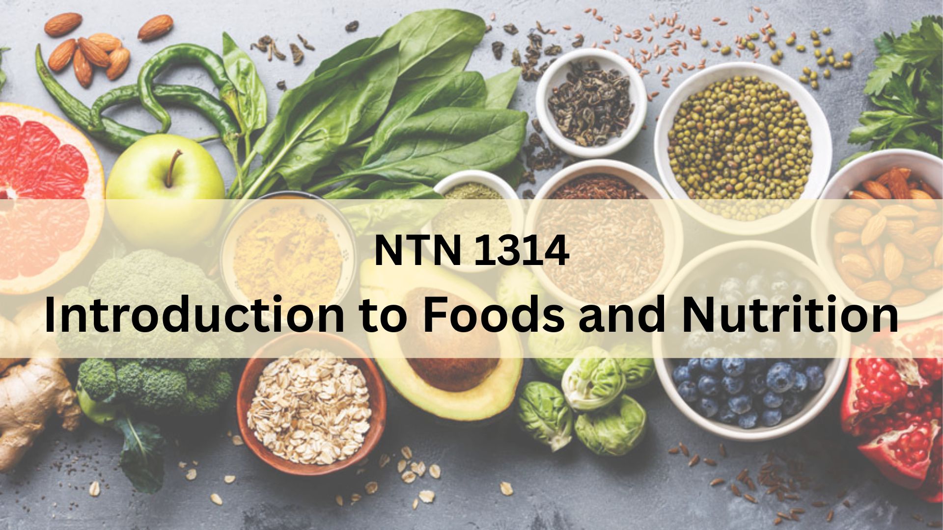 NTN1314 - Introduction to Foods &amp; Nutrition