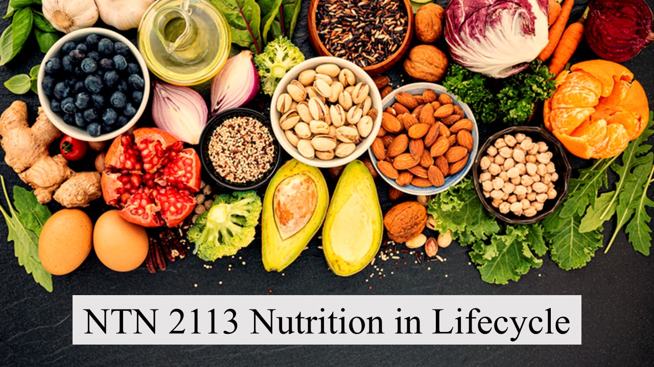 NTN2113 - Nutrition in Life Cycle