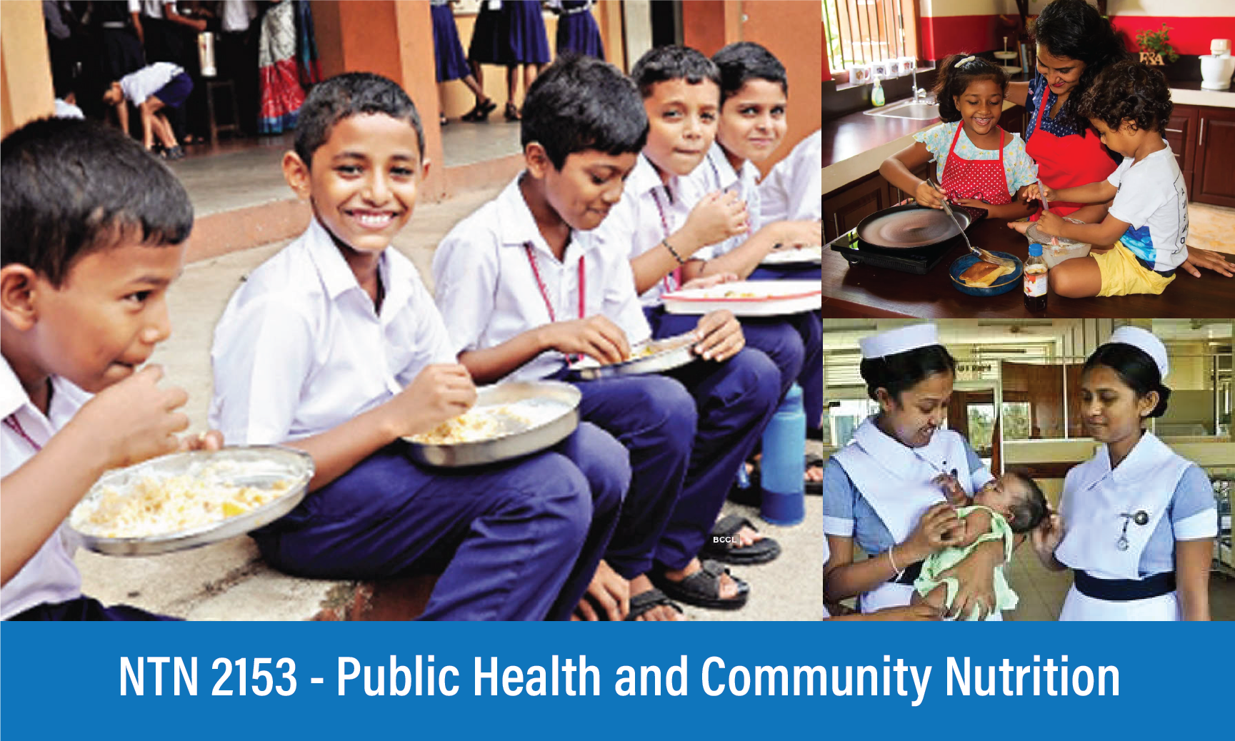 NTN2153 - Public Health &amp; Community Nutrition