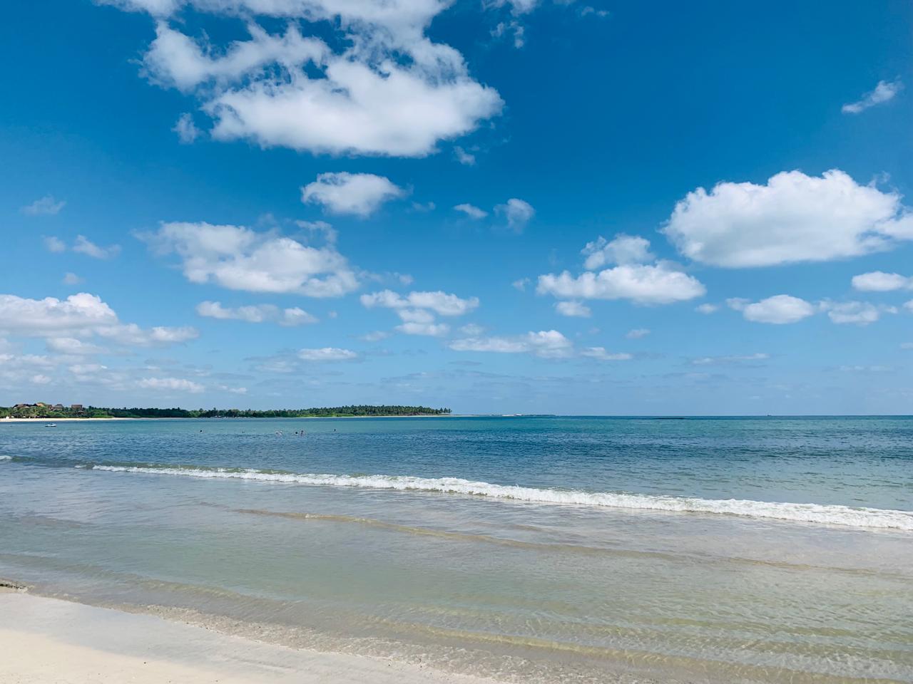 AQF 2152 - Oceanography &amp; Marine Ecology 