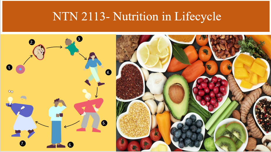 HNT 1132 Lifecycle Nutrition (2025 Intake)