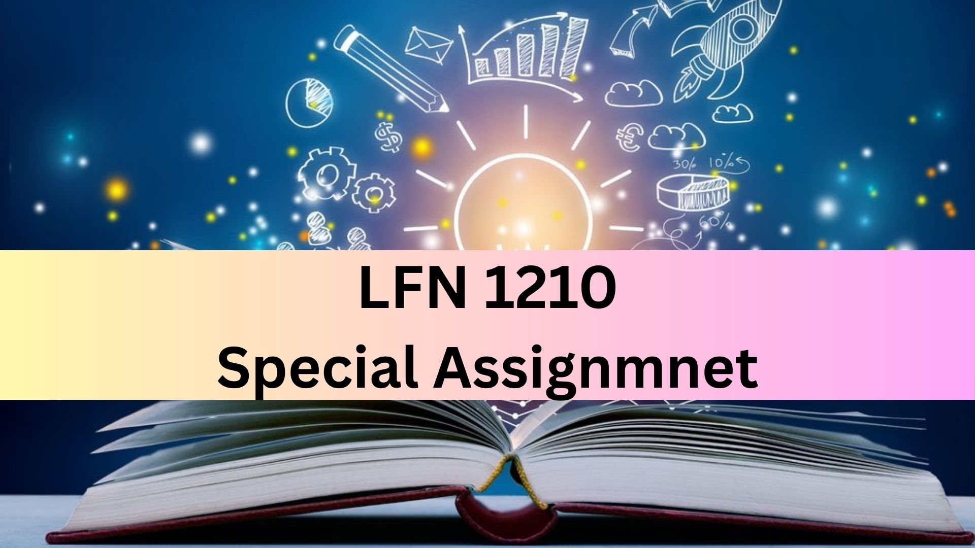 LFN 1210 - Special Assignment