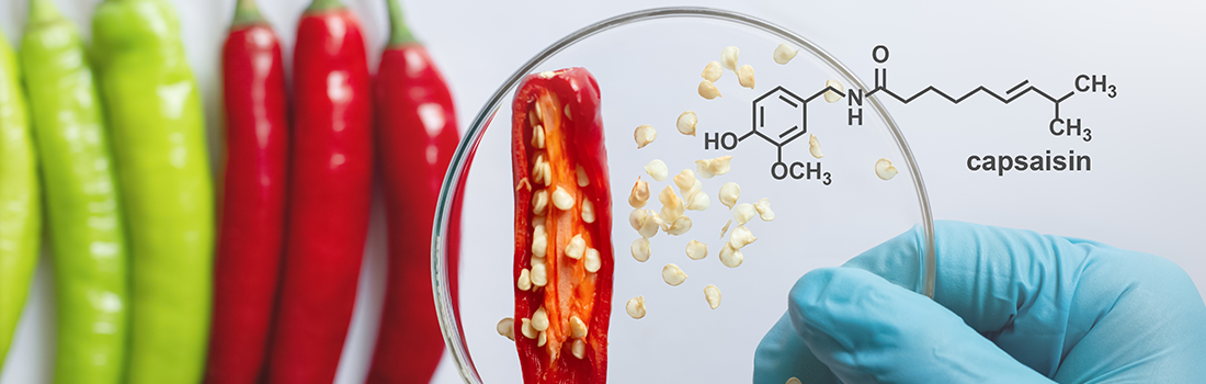 NTN2252 - Food Toxicology