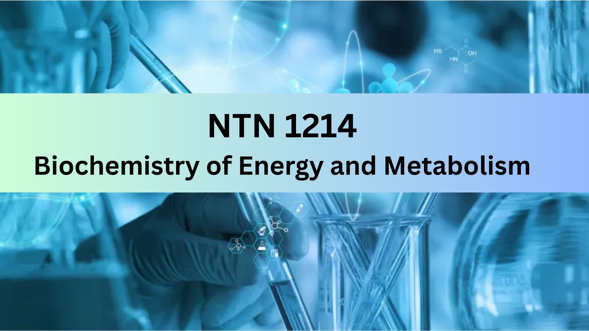 NTN 1214 - Biochemistry of Energy and Metabolism