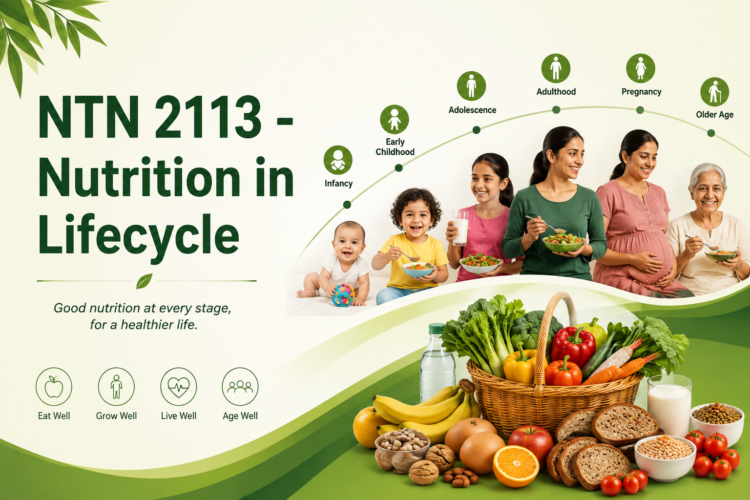 NTN2113 - Nutrition in Lifecycle