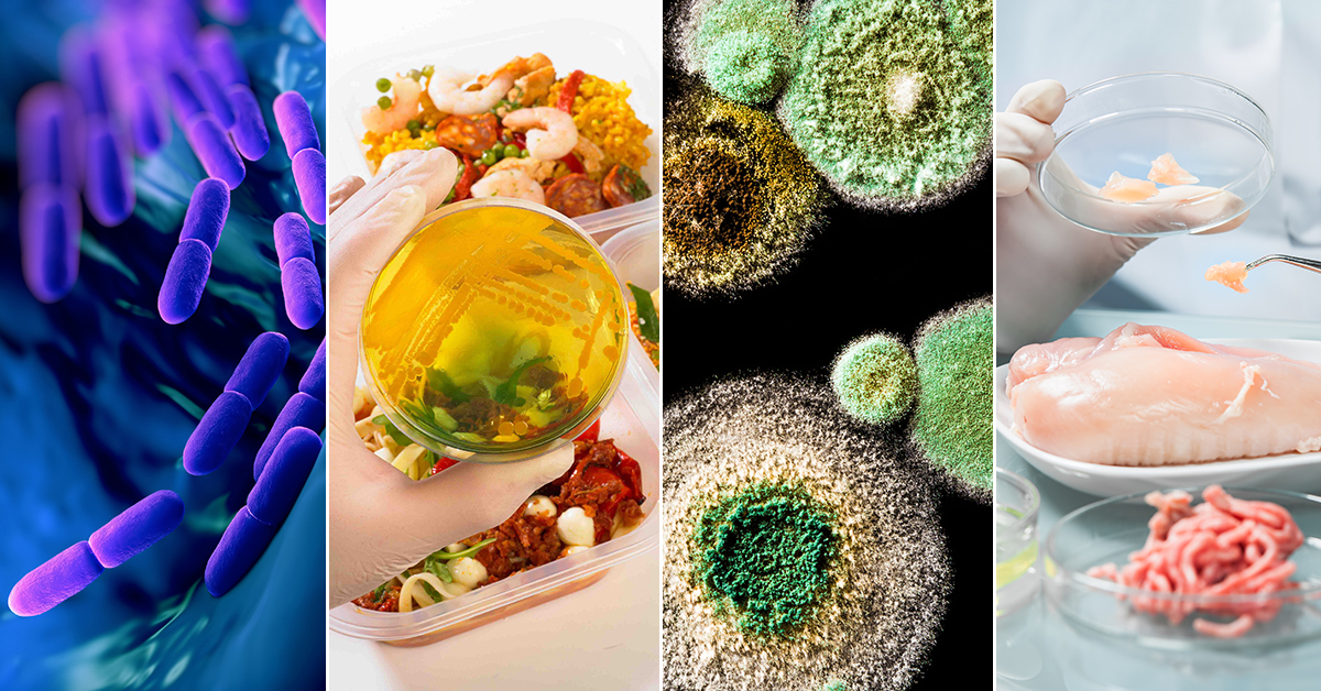 FST 1314 - Microbiology,