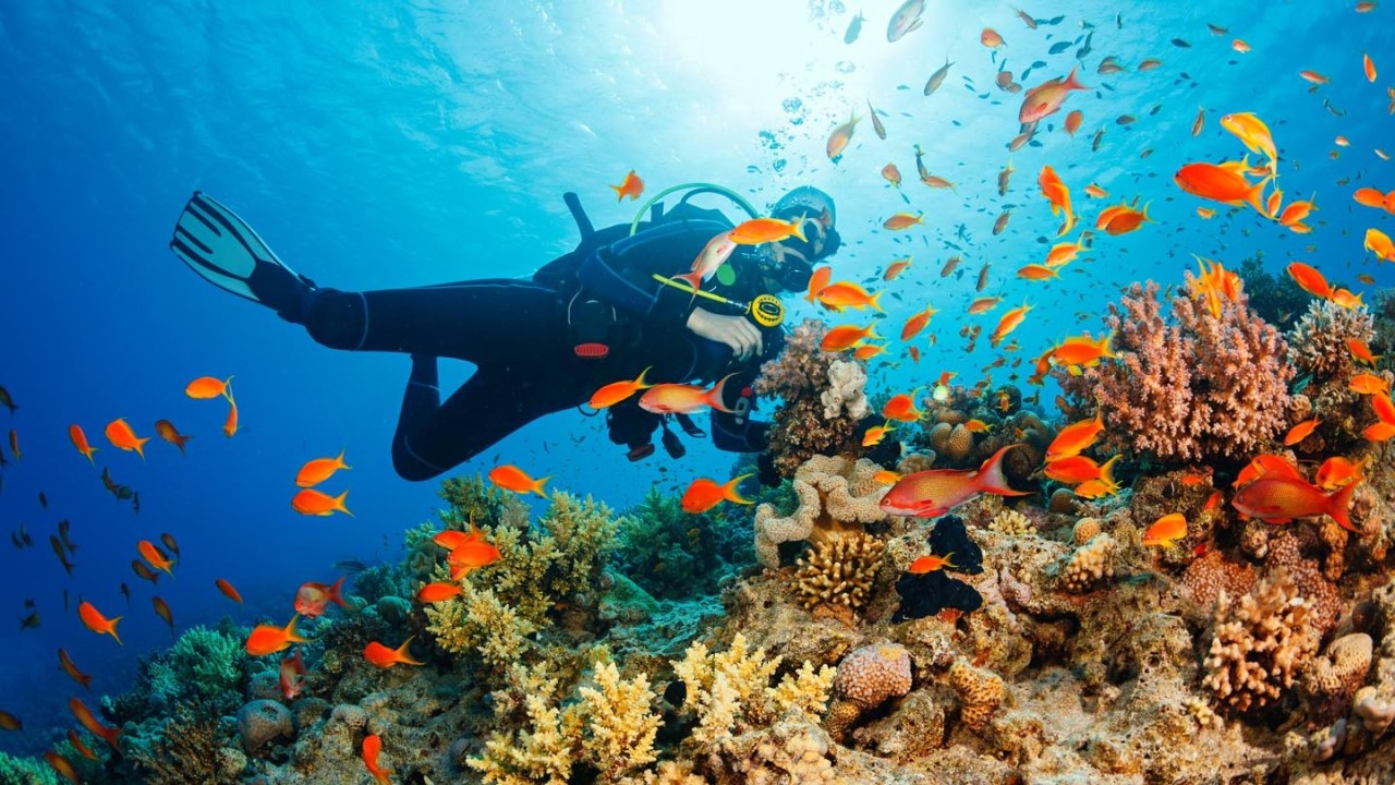 AQF 2152 - Oceanography &amp; Marine Ecology